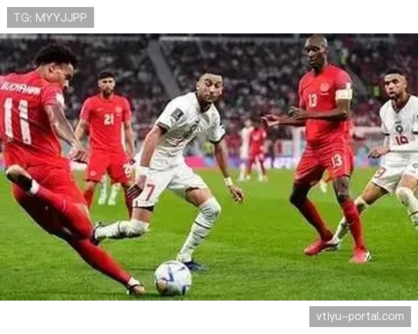 阿尔及利亚冲击2026世界杯：出线前景与晋级关键分析